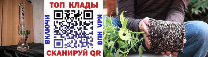 Магазины продажи наркотиков Рассказово МДМА  МЕФ  MEGA ссылки  Alpha-PVP  Гашиш 