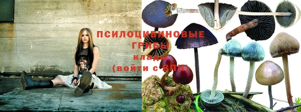 скорость Абаза