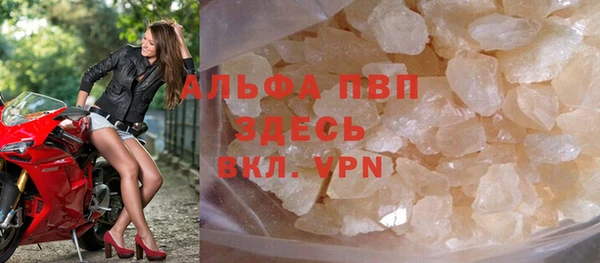 прущие грибы Волосово