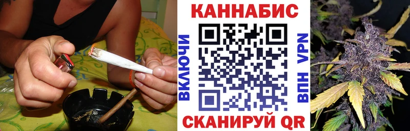 закладки  Рассказово  Бошки марихуана ГИДРОПОН 
